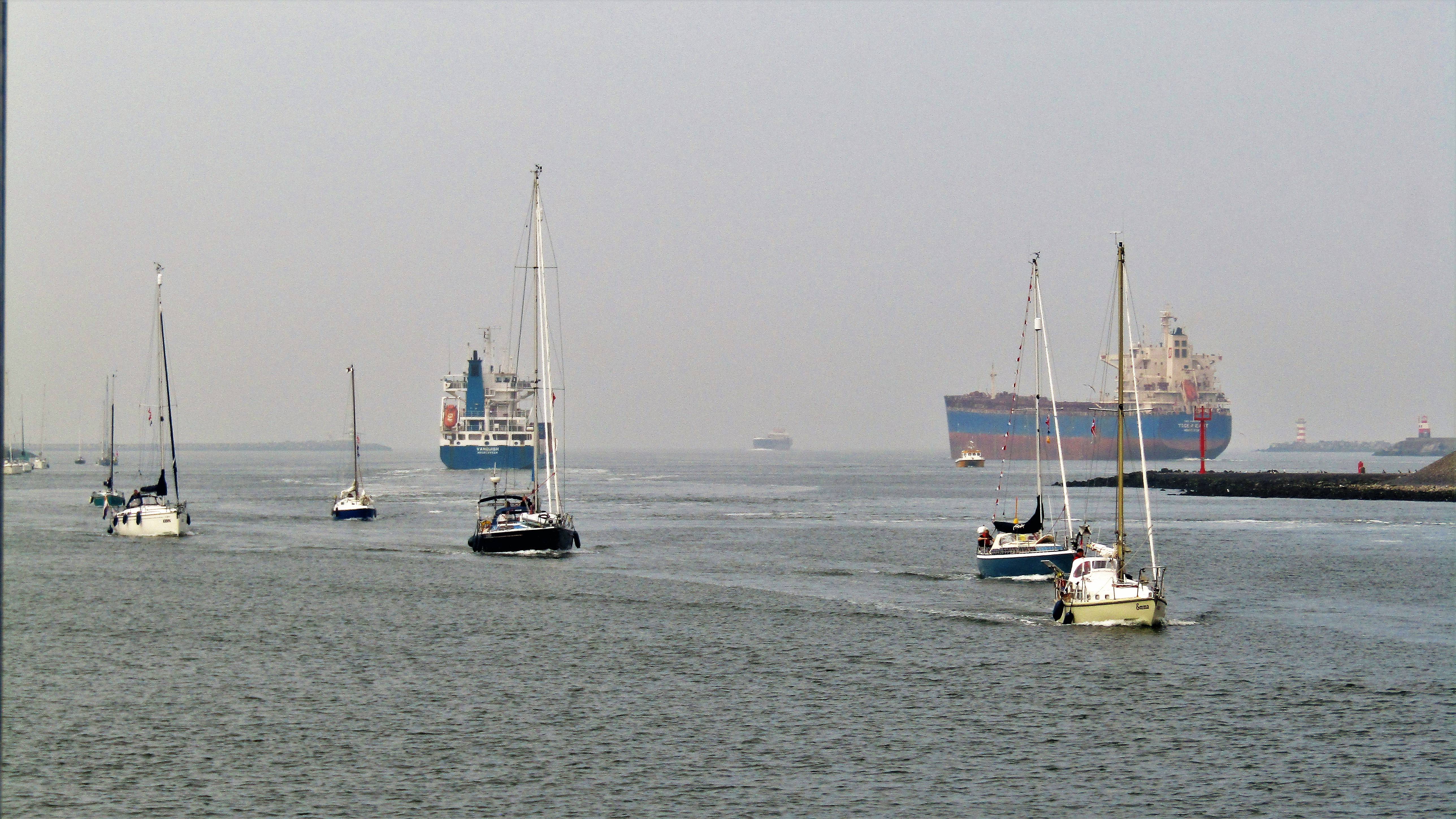 Pieren IJmuiden   05-05-22 